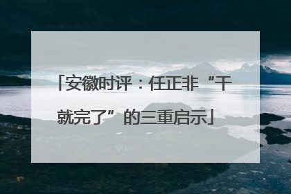 安徽时评：任正非“干就完了”的三重启示